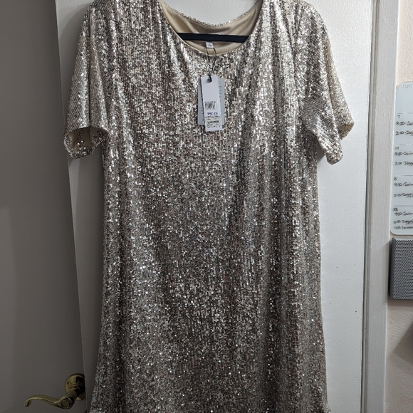 Sequin Shift Dress - Picture 3 of 3